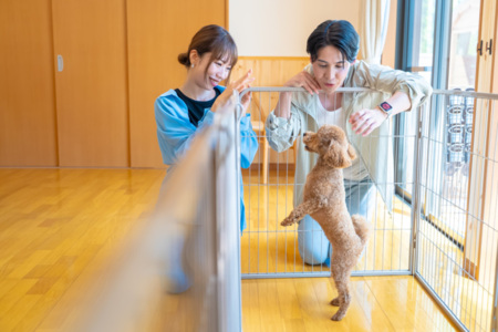 SHELTER.いすみwith dogs ｜千葉の貸別荘